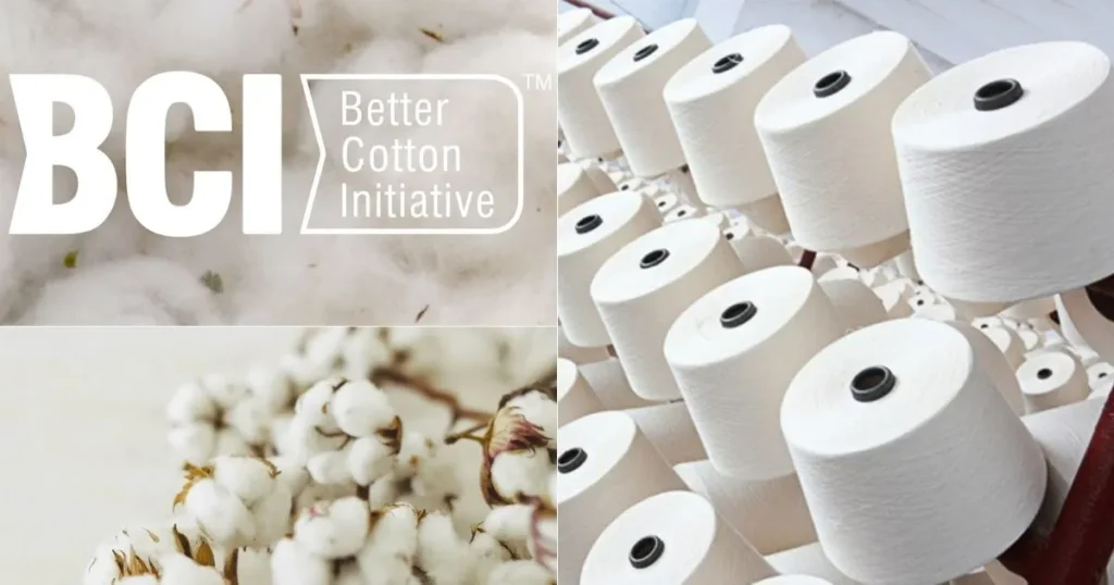 Cotton Socks 2 Cotton Socks BCI